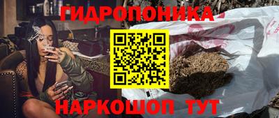 ПСИЛОЦИБИНОВЫЕ ГРИБЫ Магадан