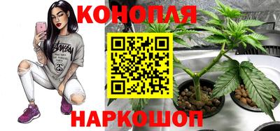 ПСИЛОЦИБИНОВЫЕ ГРИБЫ Магадан