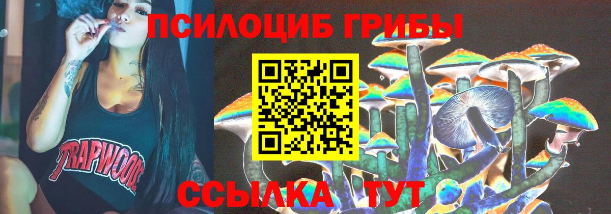 Псилоцибиновые грибы мицелий Городец