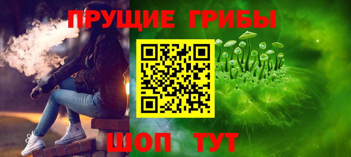 Галлюциногенные грибы Cubensis  Вход с VPN  Городец 
